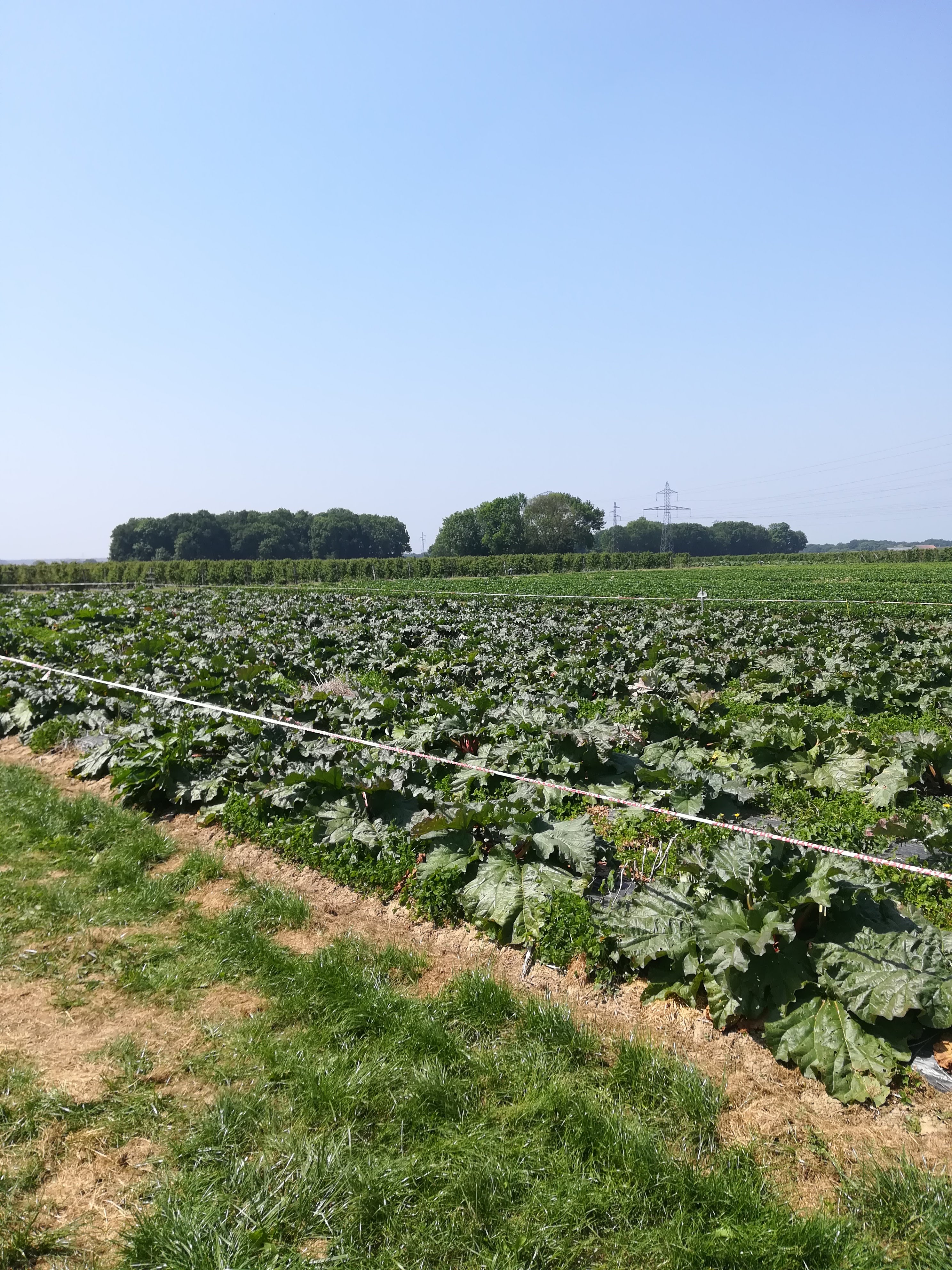 Photo n° 2 de l'avis de Naré.a fait le 25/05/2018 à 21:33