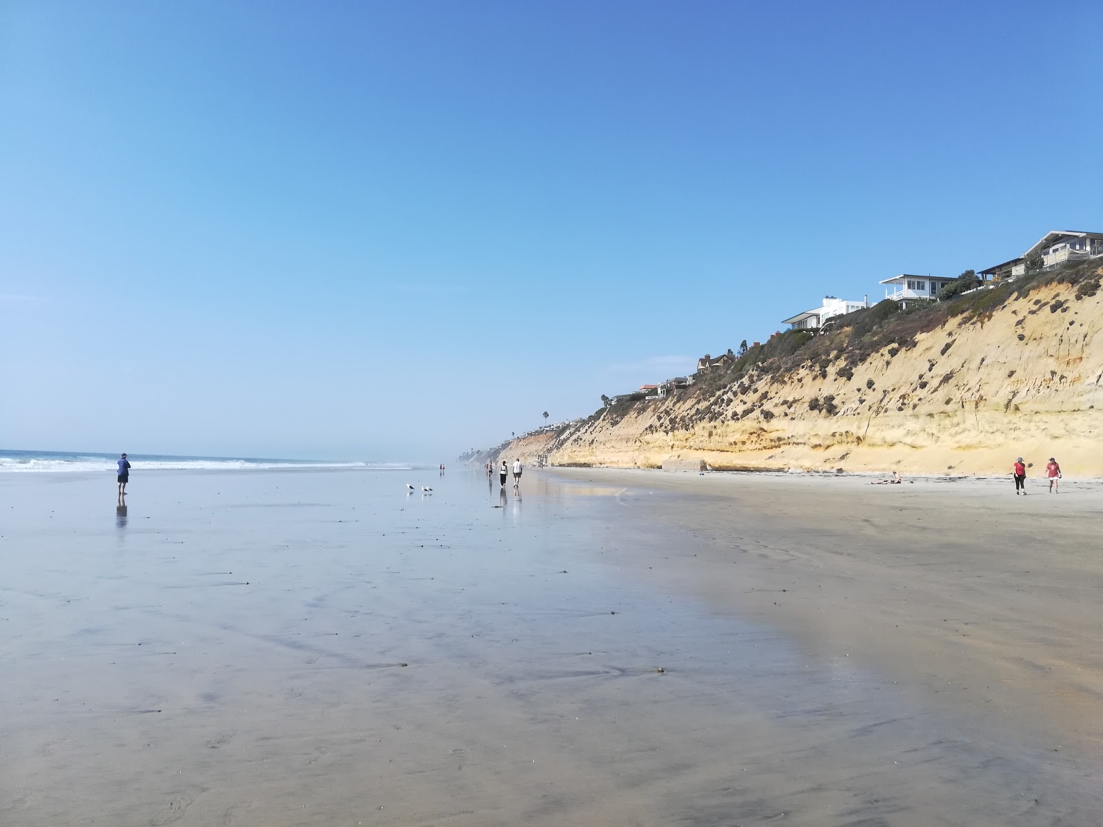Encinitas beach的照片 带有长直海岸