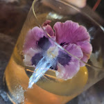 Photo n°1 de l'avis de Susana.a fait le 05/11/2022 à 14:40 sur le  De'Bardi à Florence