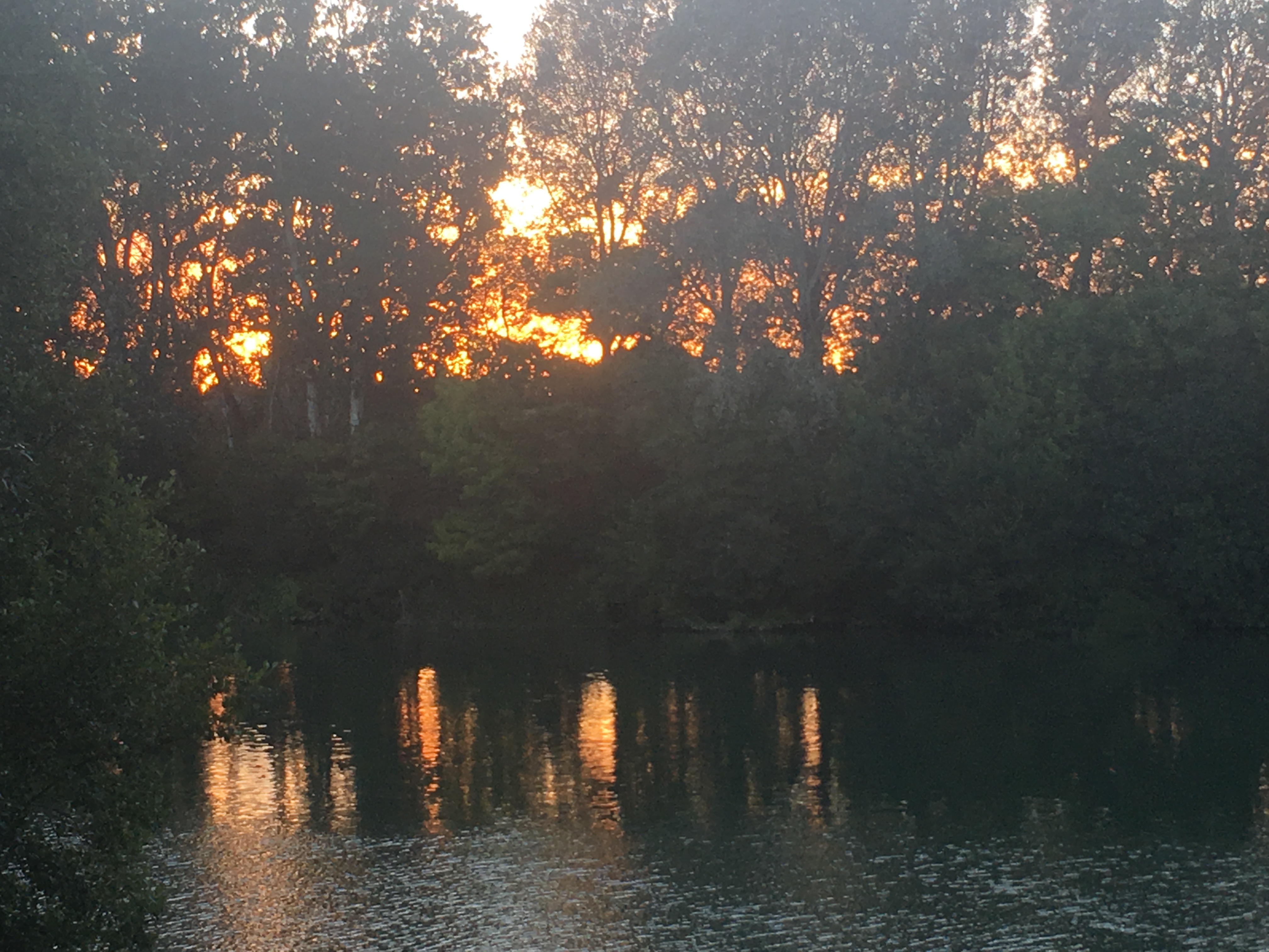 Photo n° 4 de l'avis de Chris.a fait le 25/06/2018 à 20:35