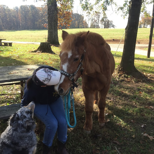 Sarah's Horse and Pet Services