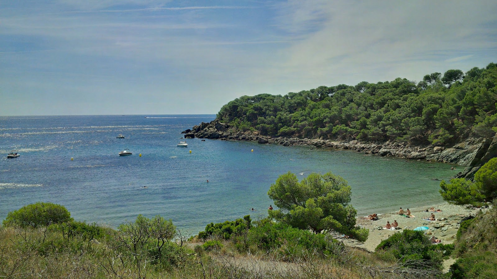 Foto di Platja Cala Murtra ubicato in zona naturale