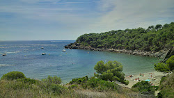 Foto di Platja Cala Murtra ubicato in zona naturale