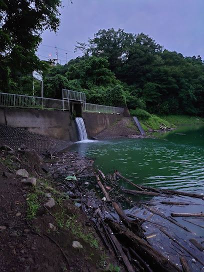 津久井湖 串川放水口