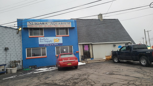 Pet Supply Store «Niagara Aquarium Co Inc», reviews and photos, 1345 Military Rd, Buffalo, NY 14217, USA