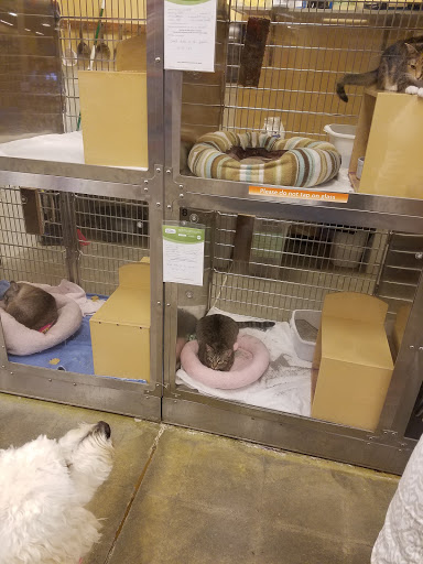 Pet Supply Store «PetSmart», reviews and photos, 1285 Johnson Ferry Rd, Marietta, GA 30068, USA