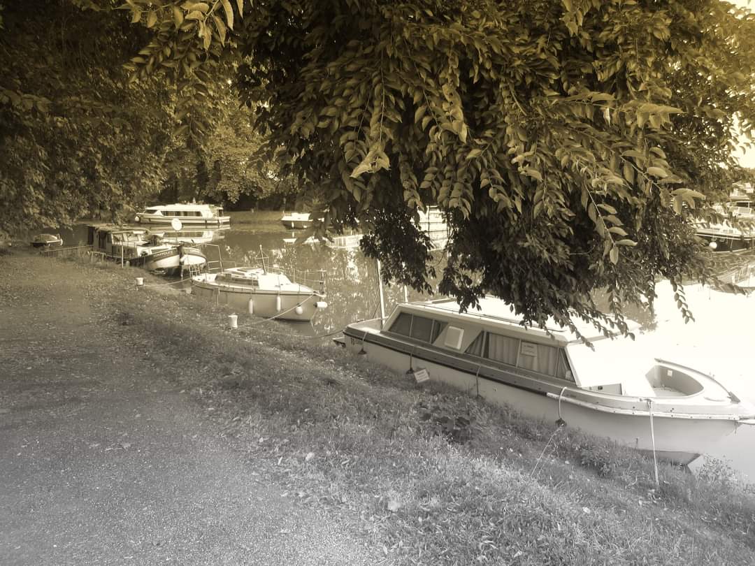 Photo n° 3 de l'avis de Prescillia.r fait le 18/09/2020 à 15:50