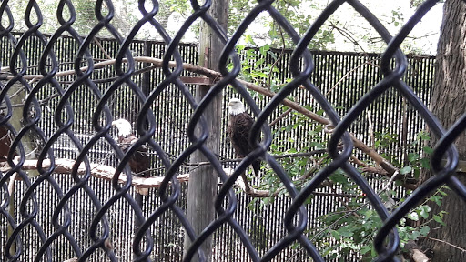 Zoo «Washington Park Zoo», reviews and photos, 115 Lake Shore Dr, Michigan City, IN 46360, USA