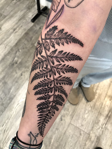 Find tummy tuck tattoo ideas for your next unique tattoo in Kingsford at Deft Tattoo Studio