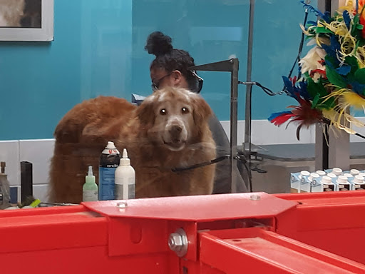 Pet Supply Store «Petco Animal Supplies», reviews and photos, 4491 Kirkwood Hwy, Wilmington, DE 19808, USA