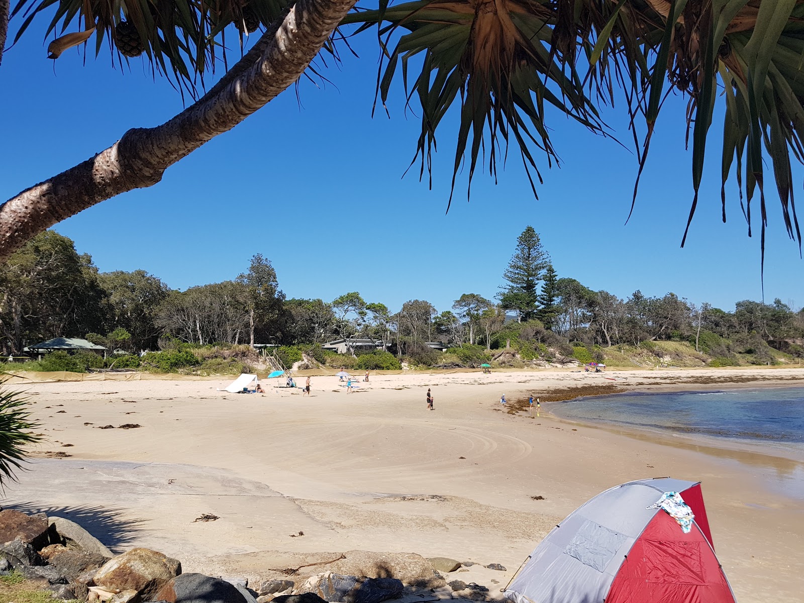 Scotts Head Beach'in fotoğrafı imkanlar alanı