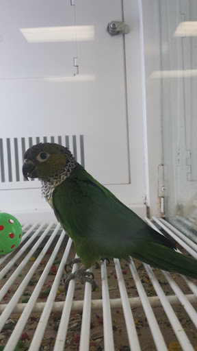 Pet Supply Store «Petco Animal Supplies», reviews and photos, 2310 S Shore Center, Alameda, CA 94501, USA