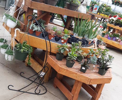 Florist «Ray Hunter Florist & Garden», reviews and photos, 16153 Eureka Rd, Southgate, MI 48195, USA