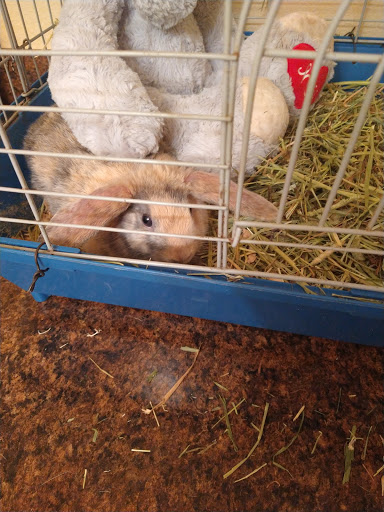 Pet Store «Southside Aquatics», reviews and photos, 2039 Pleasanton Rd, San Antonio, TX 78221, USA