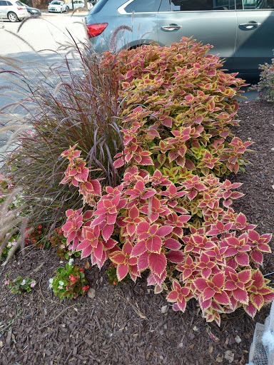 Grocery Store «Fresh Market», reviews and photos, 1408 East Blvd, Charlotte, NC 28203, USA