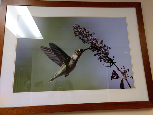 Gym «The Meyer Center at CoxHealth», reviews and photos, 3545 S National Ave, Springfield, MO 65807, USA