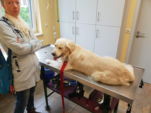 Dr. med. Vet. Holger Leischnig unter Chemnitz, Sachsen