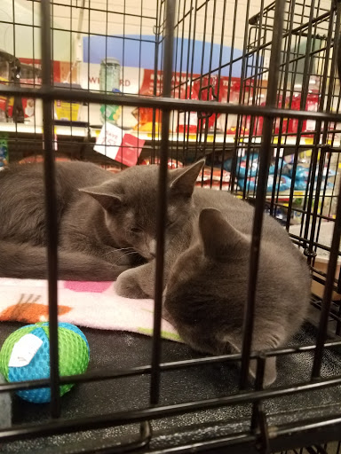 Pet Supply Store «PetSmart», reviews and photos, 47142 Michigan Ave, Canton, MI 48188, USA