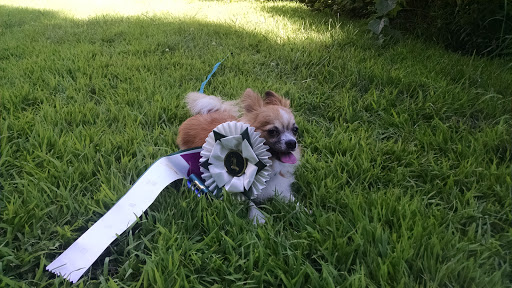 Muddy Paws Canine Center