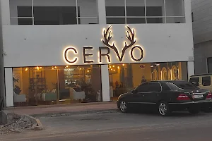 Cervo cafe image