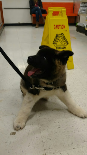 Pet Supply Store «PetSmart», reviews and photos, 2100 Chemical Rd, Plymouth Meeting, PA 19462, USA