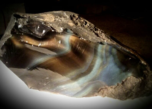 Event Venue «Reno-Sparks Livestock Events Center», reviews and photos, 1350 N Wells Ave, Reno, NV 89512, USA