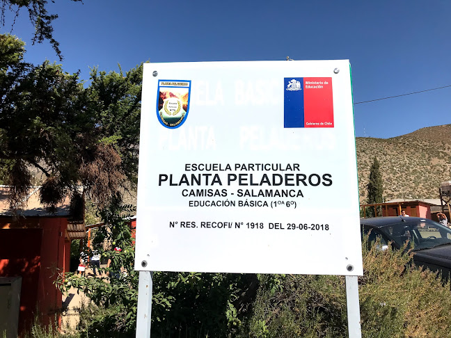 Opinii despre Escuela Particular Planta Peladeros în Salamanca - Escuela