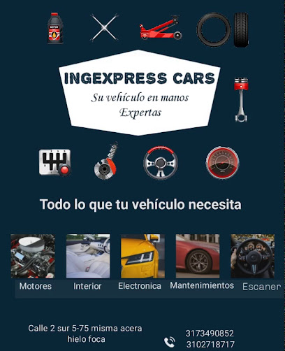 Ingexpress Cars