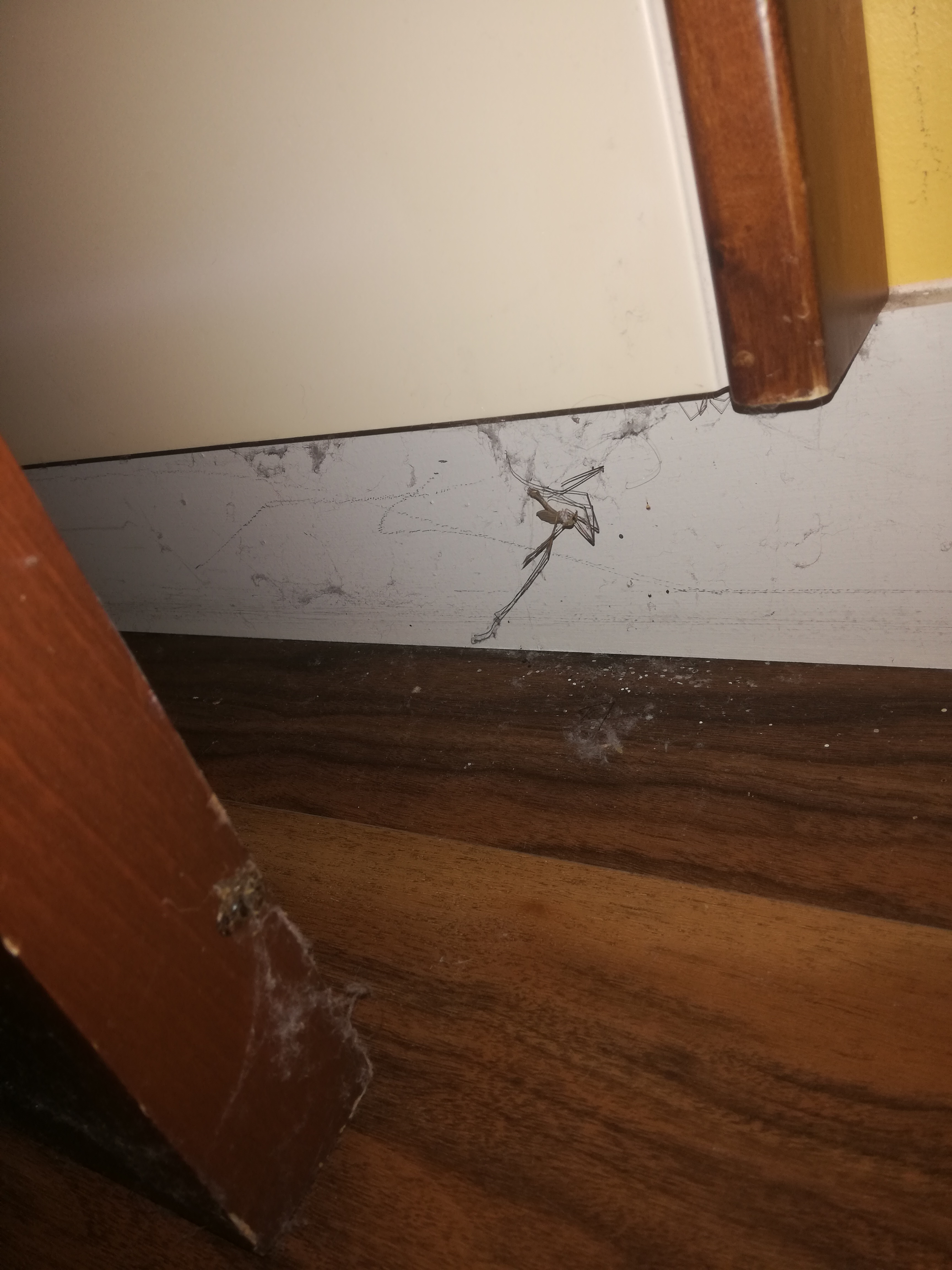 Photo n° 1 de l'avis de Stéphanie.e fait le 28/09/2020 à 09:39