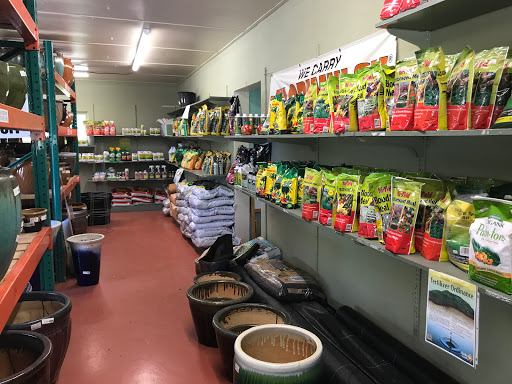 Plant Nursery «Wilcox Nursery», reviews and photos, 12501 Indian Rocks Rd, Largo, FL 33774, USA