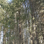 Photo n°1 de l'avis de roberto.I fait le 25/12/2017 à 10:21 sur le  Farmhouse Il Villaggetto à Camigliatello Silano