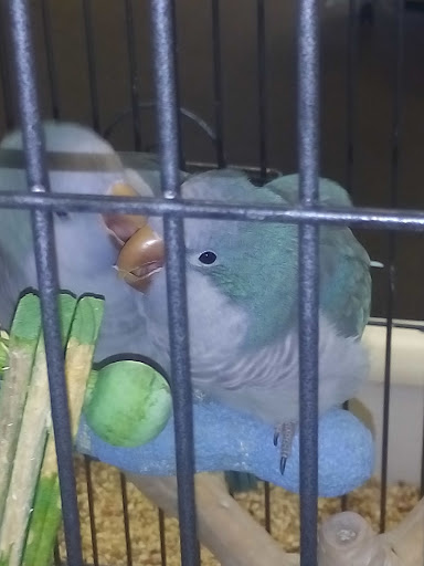 Pet Store «Simply Pets», reviews and photos, 1977 S Military Hwy, Chesapeake, VA 23320, USA