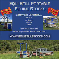 Blue Mist Equine Veterinary Centre, Equi-Still Portable Horse Stocks & Dental Instrumentation, and Horse Dental Equipment (HDE) NZ
