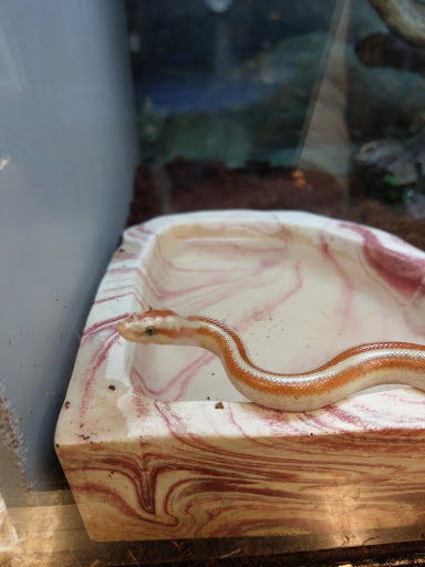 Pet Supply Store «Petco Animal Supplies», reviews and photos, 205 SE 5th St, Ames, IA 50010, USA