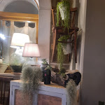 Photo n°4 de l'avis de Prof..e fait le 02/08/2023 à 01:49 sur le  Il Sauro à Faicchio