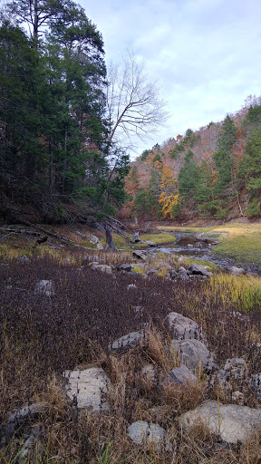 Nature Preserve «Mianus River Gorge Preserve», reviews and photos, 167 Mianus River Rd, Bedford, NY 10506, USA