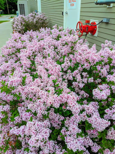 Park «Ward Park», reviews and photos, 57 Orchard St, Marlborough, MA 01752, USA