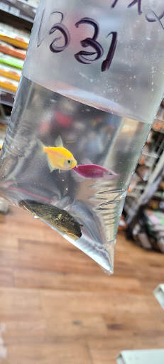 Pet Supply Store «Pet Supermarket», reviews and photos, 1800 W 68th St #140, Hialeah, FL 33014, USA