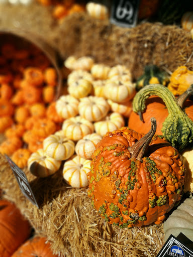 Market «Glen Ellen Village Market», reviews and photos, 13751 Arnold Dr, Glen Ellen, CA 95442, USA