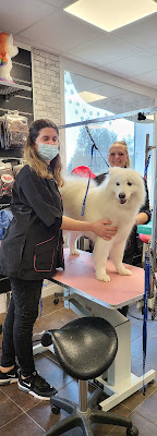 Au Bien-être Canin à Châlons-en-Champagne