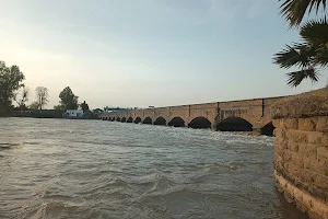 Bridge View Park, Jaggu Head image