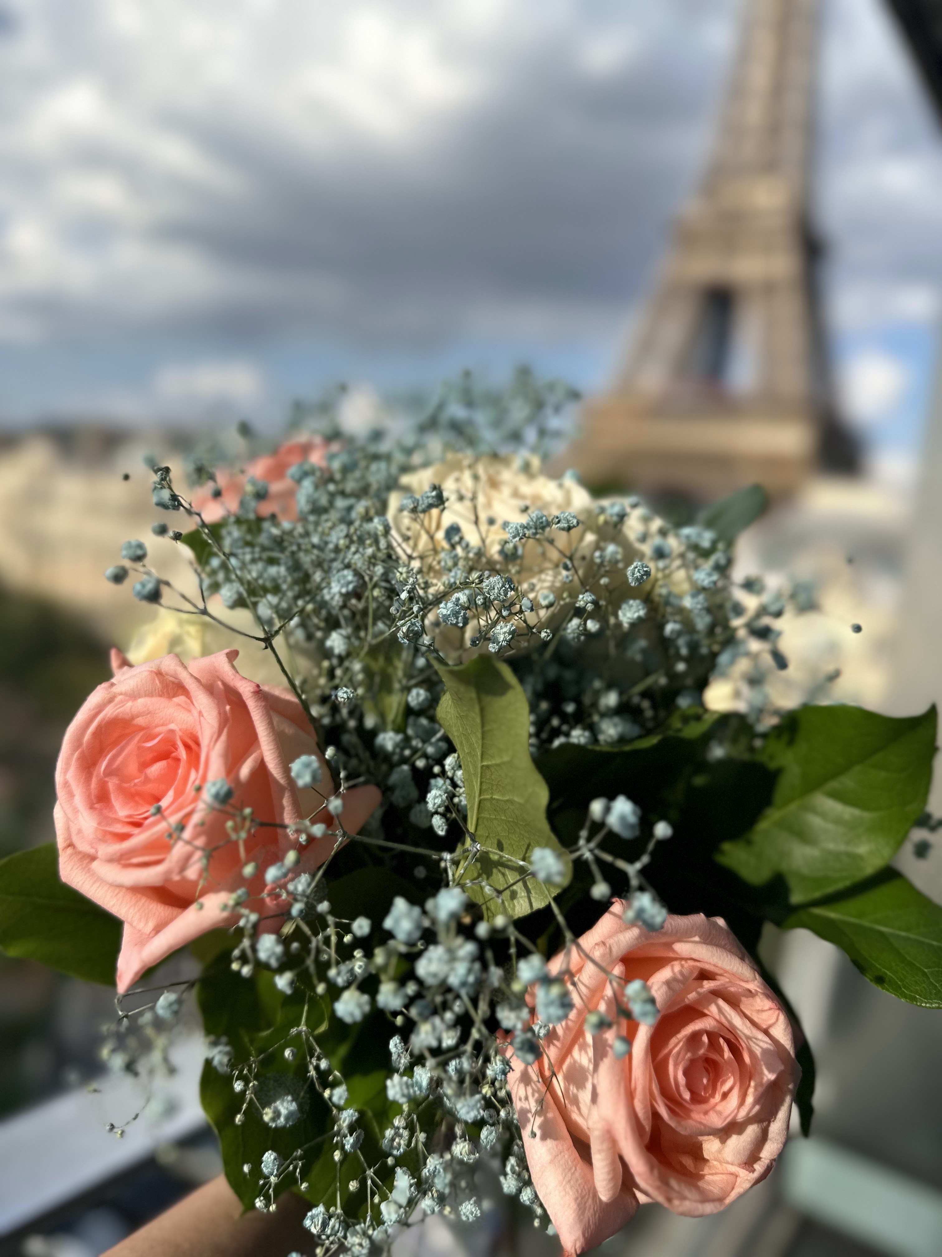 Photo n° 1 de l'avis de Steve.g fait le 14/09/2023 à 18:40