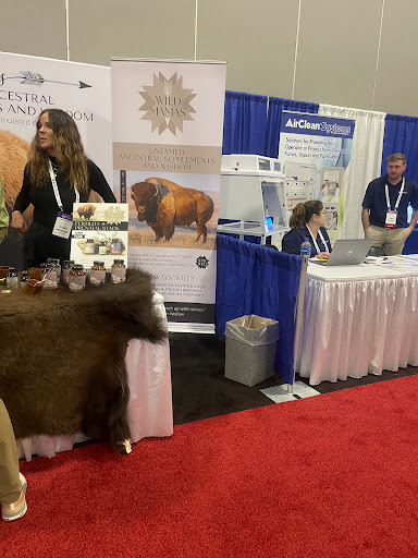 Explore line art tattoo ideas, creative tattoo ideas in Clearwater, available at Tatt2Away Clearwater