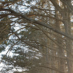 Photo n° 14 de l'avis de Sandrine.o fait le 07/03/2023 à 13:48 pour Île d'Arz à Île-d'Arz