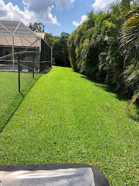 Pelican Pest and Fertilization - Photo 3 - Car repair in , West Palm Beach