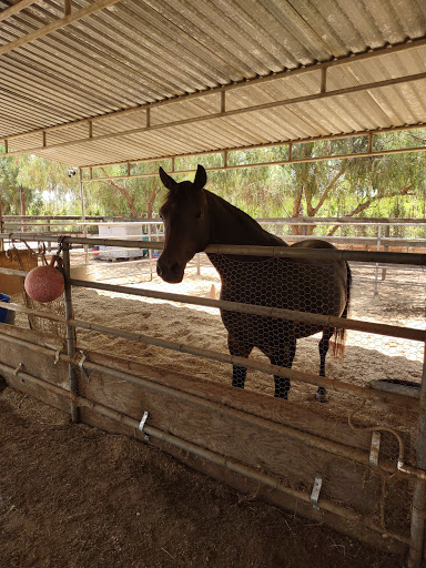 Trax Equestrian Center