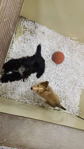 Pet Store «The Pet Shop», reviews and photos, 1988 MacArthur Rd, Whitehall, PA 18052, USA