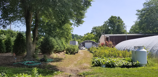 Garden Center «Distinctive Gardens», reviews and photos, 1531 Telegraph Rd, West Chester, PA 19380, USA