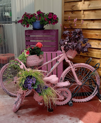 Vebaflor fleuriste, jardinerie à Oissery