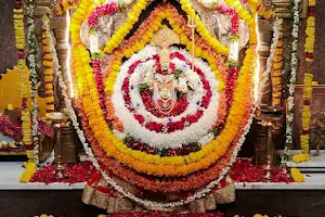 Sri Devi Bagh Mandir | Sri AshtaBuja Durga Mata image